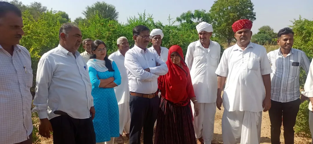 जिला कलेक्टर ने अनार एवं अंजीर के खेतों का किया अवलोकन