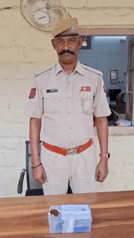 🔴 खेत में मिला देशी कट्टा, रानीवाड़ा खुर्द में फैली सनसनी👉 झगड़े की साजिश रचते पकड़े गए युवक – फोटो 2