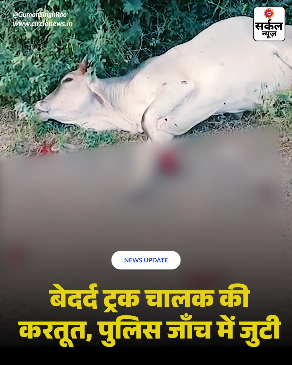 क्रेशर ट्रकों का आतंक! गोमाता का पैर टूटा, गुस्साए ग्रामीणों ने जाम किया 'फोर-वे'; पुलिस ने दिया कार्रवाई का आश्वासन – फोटो 2