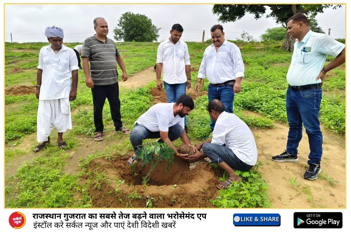 हरियालो राजस्थान अभियान के तहत रानीवाड़ा में 800 पौधे लगाए