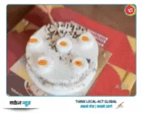 गहलोत के जन्मदिन पर NSUI ने पेश की सेवा की मिसाल: गौमाता को खिलाया चारा, पक्षियों के लिए बांधे परिंडे – फोटो 2