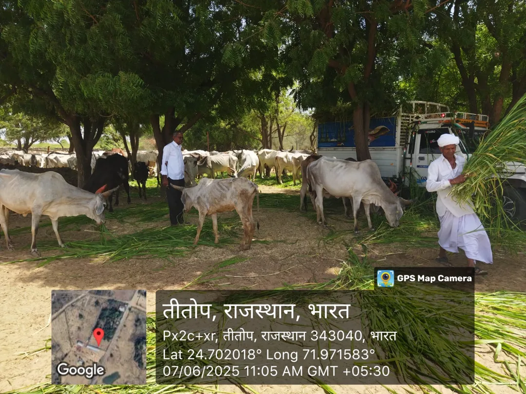 शनिवार को गौशालाओं व दुग्ध संघों में संगोष्ठी व स्वच्छता अभियान का हुआ आयोजन