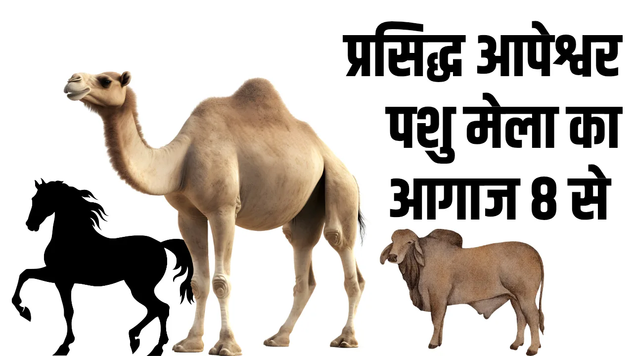 प्रसिद्ध आपेश्वर पशु मेले का शुभारंभ 8 से, 70 साल है पुराना