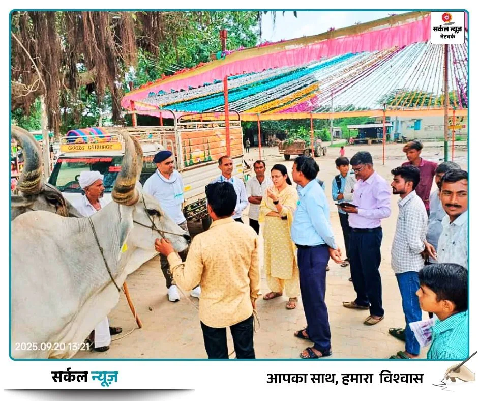 खुशहाली की ओर बढ़ते कदम: जालोर में बैलों से खेती को मिला प्रोत्साहन, किसान चुणाराम कोली को मिली 30,000 की सहायता राशि