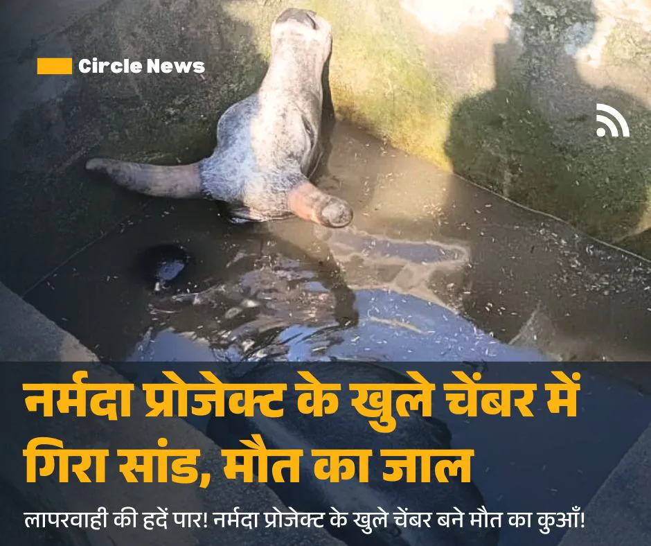बड़ी खबर: नर्मदा प्रोजेक्ट के खुले चेंबर बने मौत का जाल