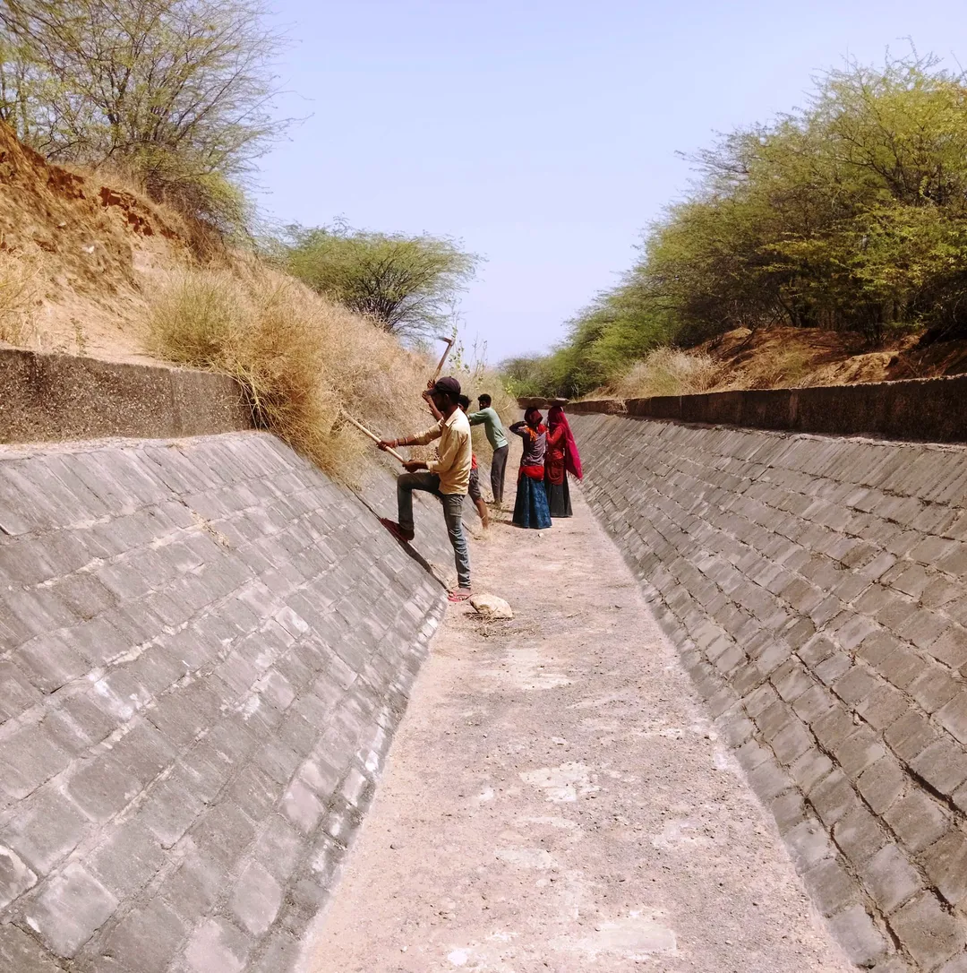 निर्जला एकादशी पर वंदे गंगा जल सेवा व स्वच्छता गतिविधियों का हुआ आयोजन