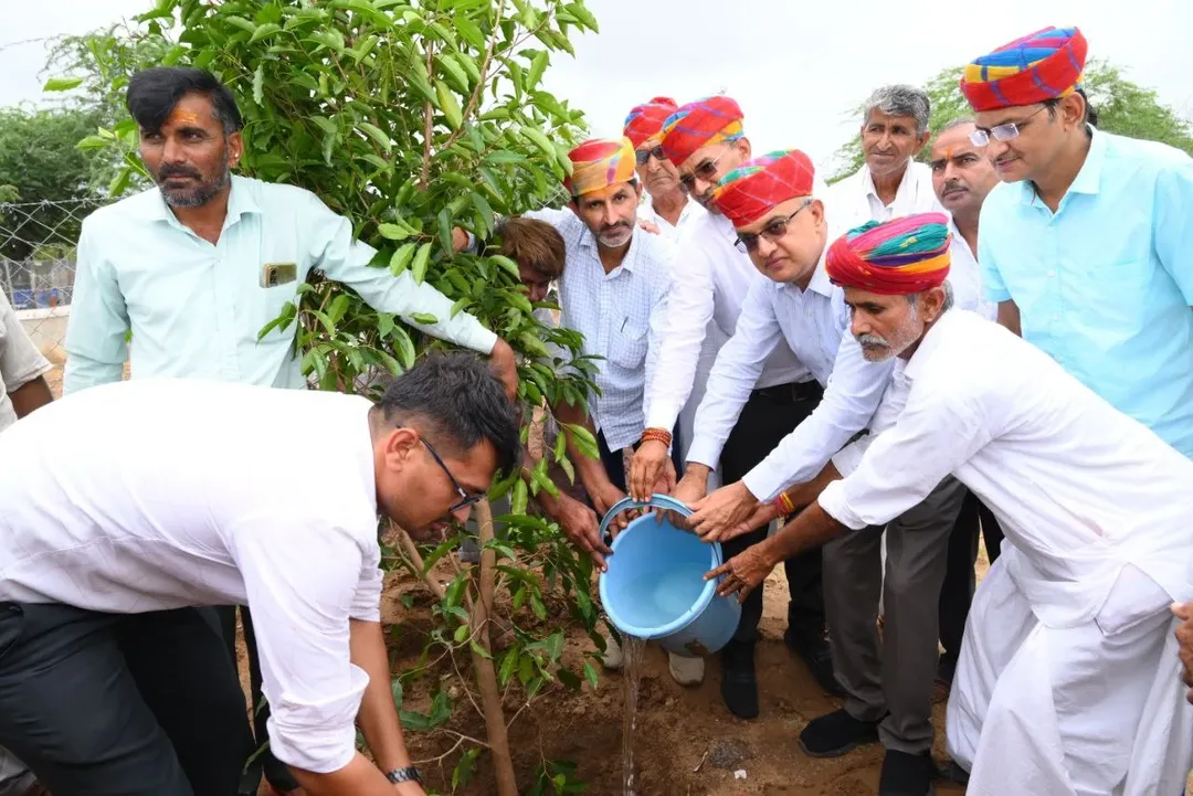जिला कलक्टर ने सेवाड़ा गोशाला में किया वृक्षारोपण, दानदाता ने 5 लाख का दिया सहयोग, परिपक्व वृक्षों का किया रोपण