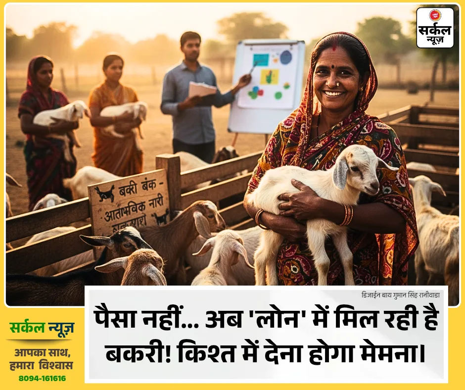 🐐 'गोट बैंक' का कमाल: किश्त में पैसा नहीं मेमना लेता है यह बैंक, 300 से ज्यादा महिलाएं बनीं लखपति