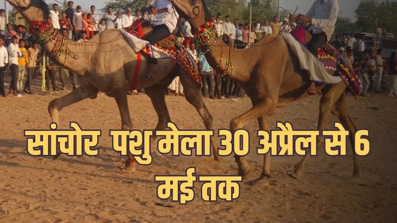 माखुपुरा में विराट पशु मेला 30 अप्रैल से 6 मई तक होगा आयोजित