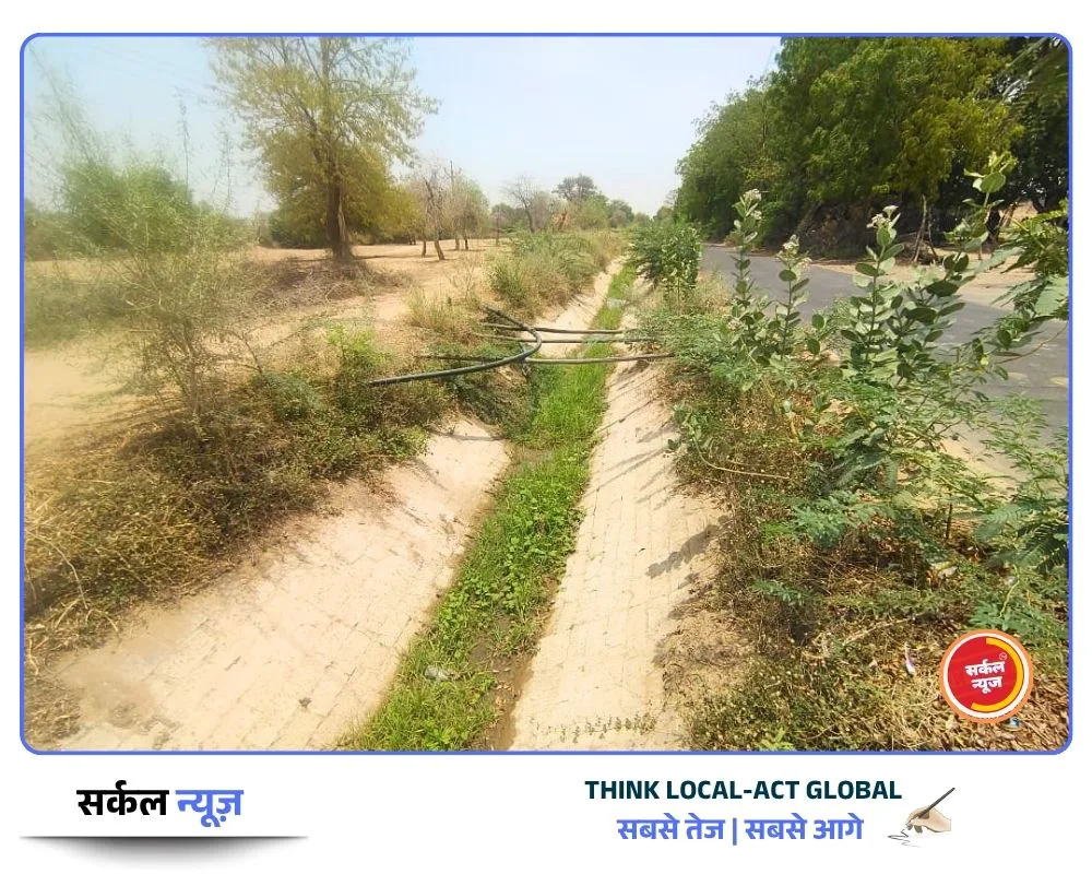 अन्नदाताओं के चेहरे खिले: रबी सीजन से पहले चमकेगी चितलवाना की हर नहर, सरपंच की 'भागीरथ' पहल से टूटेगा टेल का सूखा