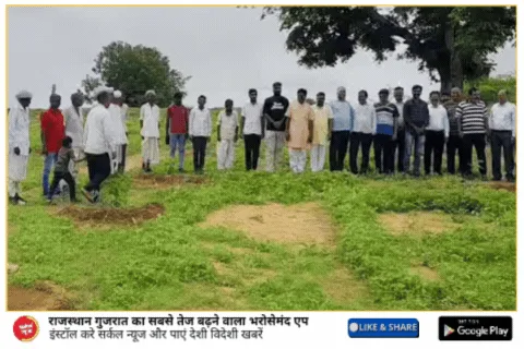 हरियालो राजस्थान अभियान के तहत रानीवाड़ा में 800 पौधे लगाए