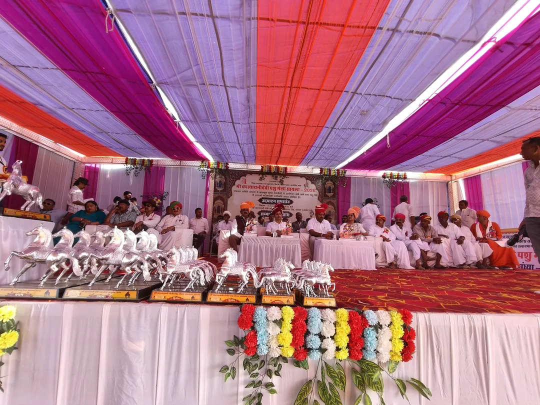 पशुपालन परंपरा और ग्रामीण अर्थव्यवस्था का आधार हैं पशु मेले: भाजपा जिलाध्यक्ष जसराज राजपुरोहित – फोटो 4