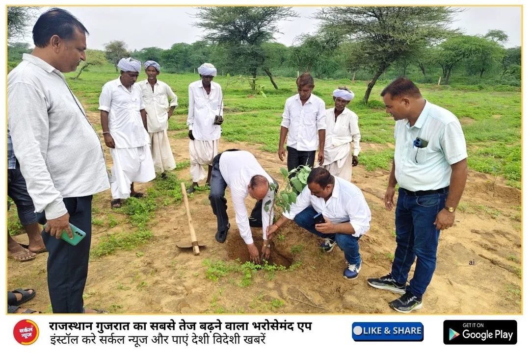 हरियालो राजस्थान अभियान के तहत रानीवाड़ा में 800 पौधे लगाए – फोटो 2