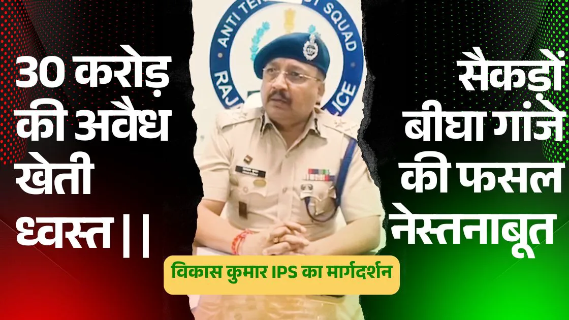 🔥 ऑपरेशन गांजार्जन: खोजबीन सफल! राजस्थान में 30 करोड़ के अवैध गांजे की सबसे बड़ी खेती नेस्तनाबूत