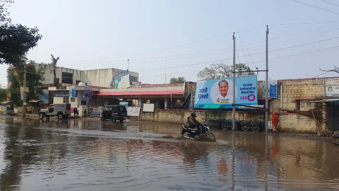 रानीवाड़ा में मावठ से तापमान गिरा, सुबह तक 12 एमएम हुई बरसात, आकाशीय बिजली गिरने से 4 ऊंट और एक भैंस की मौत