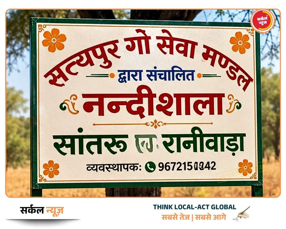 मरुधरा पर करुणा का नया सवेरा: बेसहारा नंदियों को मिलेगा आशियाना, सत्यपुर संस्था और सरकार की जुगलबंदी ने बदली सांतरू की सूरत – फोटो 2