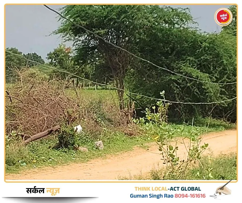 बिजली विभाग की कुंभकर्णी नींद: 1 माह से जमीन पर पड़ा है 'मौत का तार', कभी भी हो सकता है बड़ा हादसा