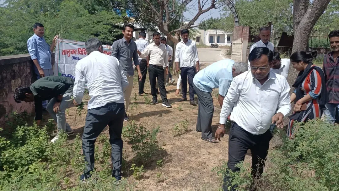 रानीवाड़ा कचहरी की ज्युडिशियल स्टॉफ के साथ वकीलों ने की साफ सफाई