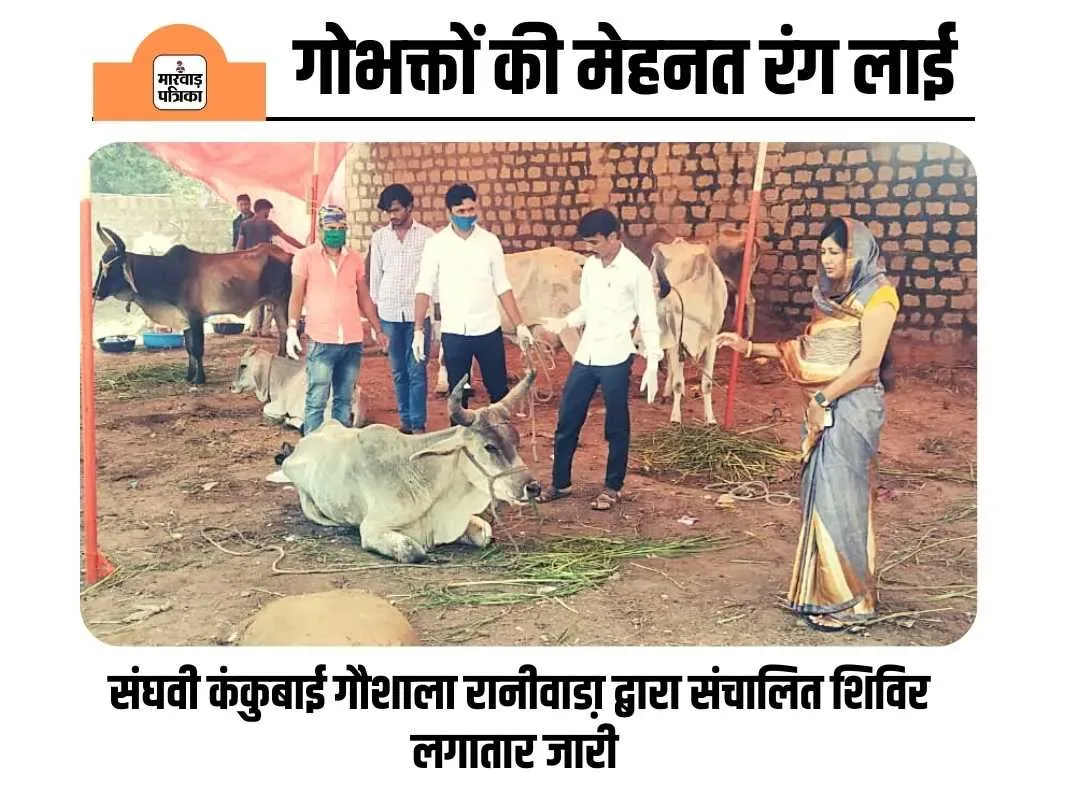 पशु चिकित्सक परमात्मा का स्वरूप, गोवंशों की सेवा में गौभक्तों की मेहनत रंग लाएगी-मेघवाल