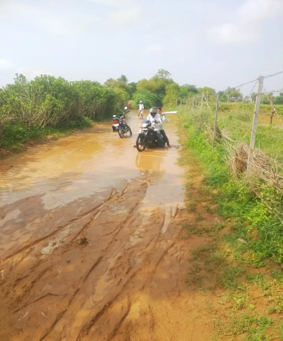 सांईजी वेरी से डाडोकी का रास्ता हुआ बंद, बरसाती पानी से मुश्किल बढ़ी, ग्रामीणों में देखी नाराजगी