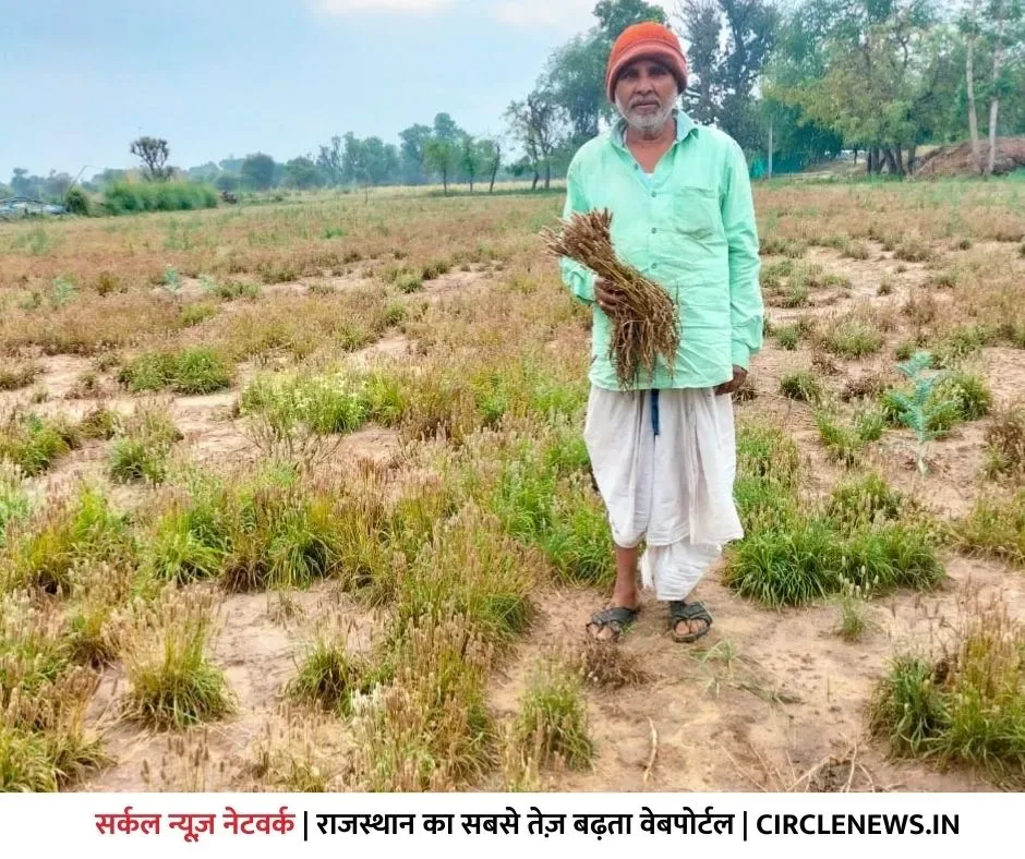 रानीवाड़ा में बरसी फिर से आफत, बचा हुआ जीरा और इसब हुआ तबाह, सरपंचों ने सीएम के नाम सौंपा ज्ञापन