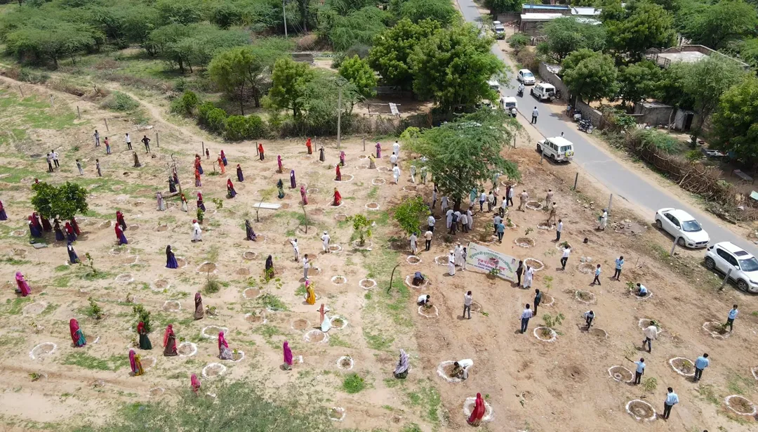 जिला कलेक्टर ने सेवाड़ा ग्राम में किया वृक्षारोपण – फोटो 2