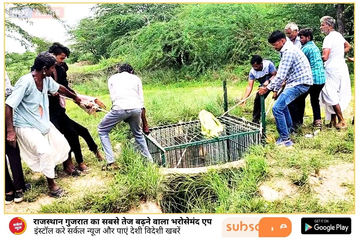 जसवंतपुरा में वन विभाग का हैरतअंगेज रेस्क्यू: कुएं में गिरे सियार को बचाने के लिए वनरक्षक प्रभुराम ने लगाई जान की बाजी!