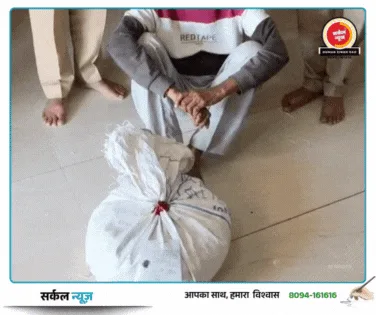 चितलवाना पुलिस की बड़ी स्ट्राइक: तस्कर के घर दबिश देकर 4 किलो से अधिक डोडा पोस्त बरामद