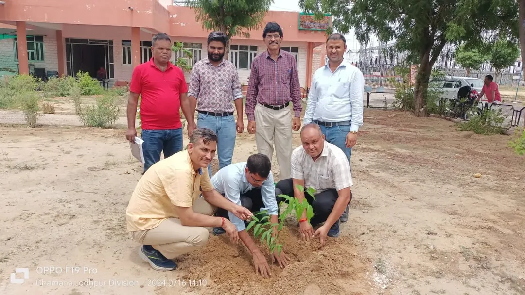 रानीवाड़ा की कागमाला ग्राम पंचायत में सघन वृक्षारोपण कार्य प्रगतिरत