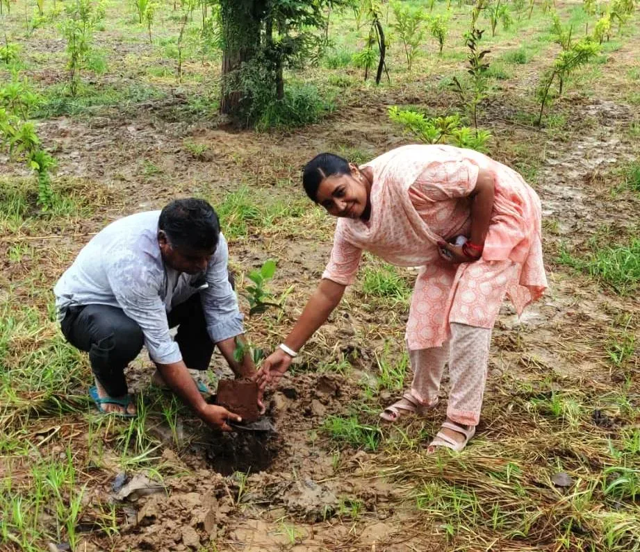 सघन पौधारोपण सप्ताह के तहत रंगोली व पौधारोपण गतिविधि का हुआ आयोजन – फोटो 2